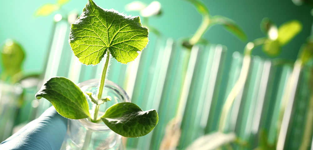 生物农业 环保产品定制方案