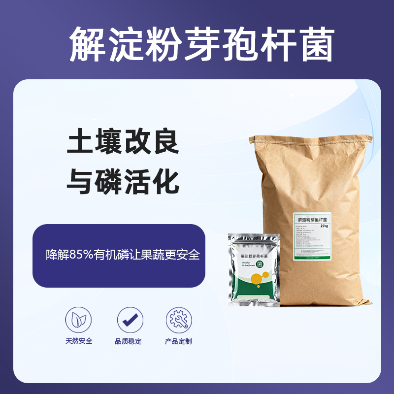 解淀粉芽孢杆菌农药残留终结者|几丁质酶破解土壤板结的微生物钥匙，土壤改良与磷活化|200亿活菌