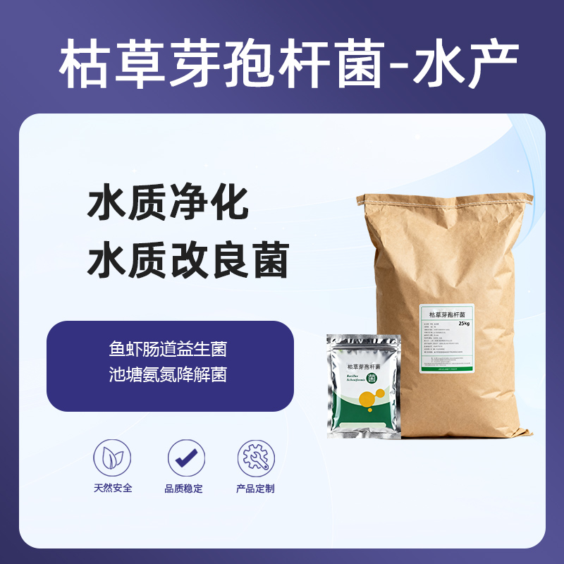 枯草芽孢杆菌200亿活菌|水产养殖水质改良菌|鱼虾肠道益生菌|池塘氨氮降解菌|水质净化