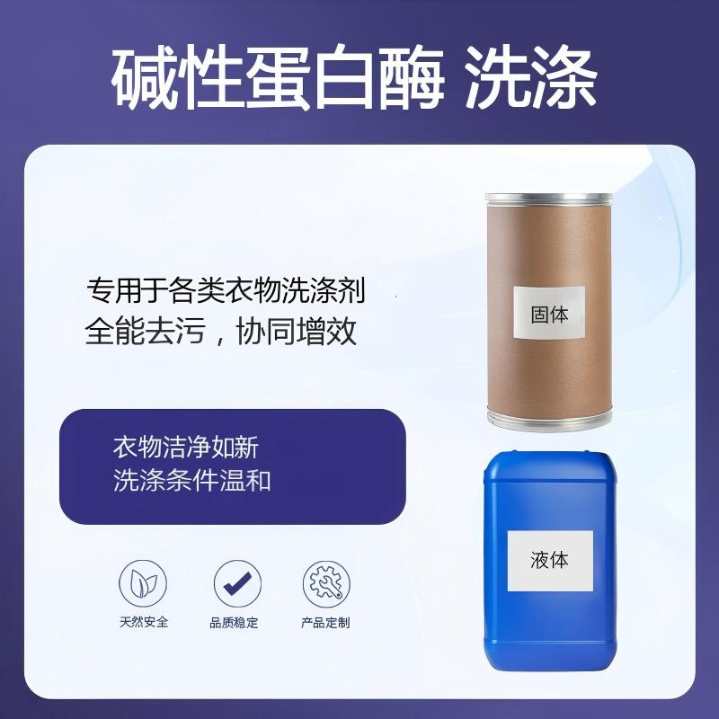 奕达酶 碱性蛋白酶——高效催化蛋白酶 衣物蛋白质类污渍去除 洗涤剂核心生物活性成分 提升洗涤效率 降低能耗 血渍奶渍汗渍分解酶 耐碱洗涤蛋白酶