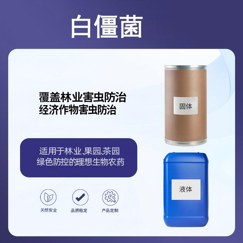 奕达酶白僵菌 广谱病原真菌 无公害生物制剂 高活性孢子 喷雾撒粉 林业农业 有机种植专用