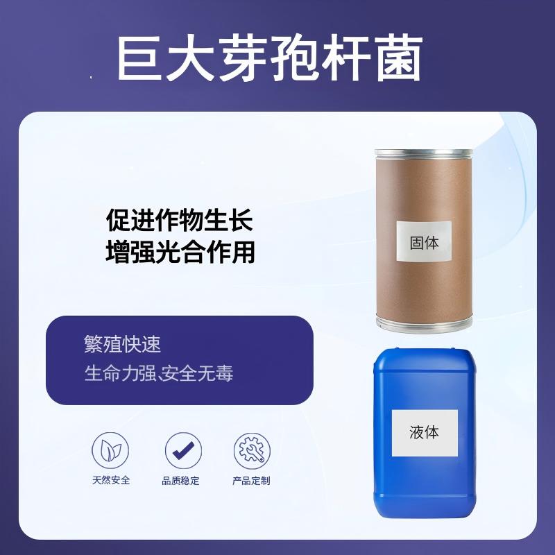 奕达酶 巨大芽孢杆菌 解磷固氮肥 生产菌种 土壤磷素活化菌剂 微生物菌肥原料