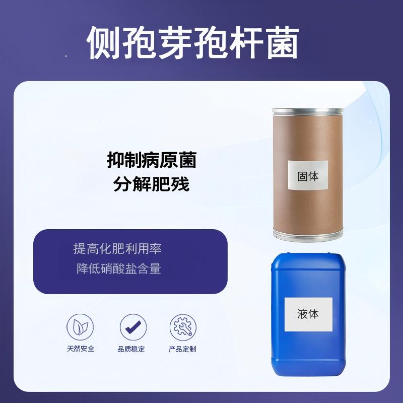 奕达酶 侧孢芽孢杆菌 抗病促生双效生物菌剂 分泌几丁质酶 阻止病原菌侵入 防治土传病害